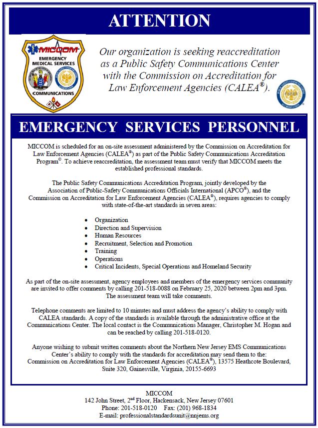 caleçon sans couture